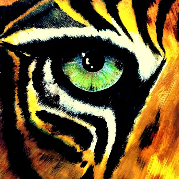 TIGER SIGHT
Pohľad, ktorý nežiada pozornosť — on ju prirodzene drží. V tejto energii je ticho, sústredenie a istota… presne vieš, kam smeruješ.